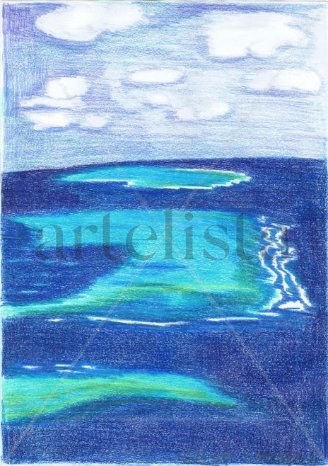 Corall reef