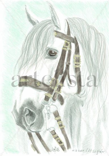 Lusitano stallion Pencil