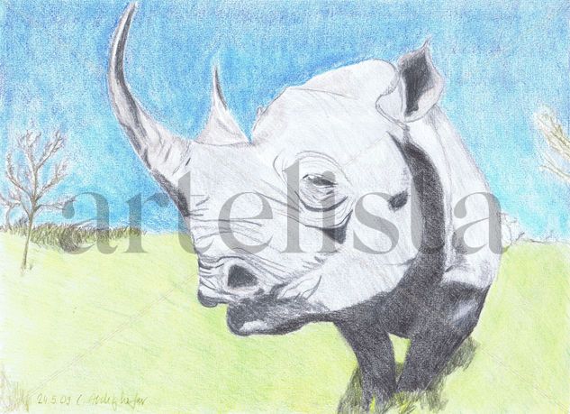 Rhinoceros Lápiz