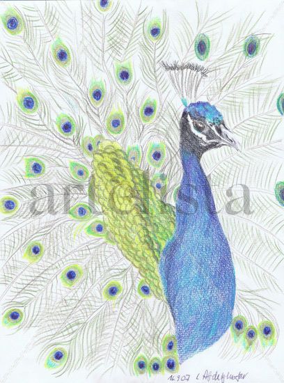 Peacock Pencil