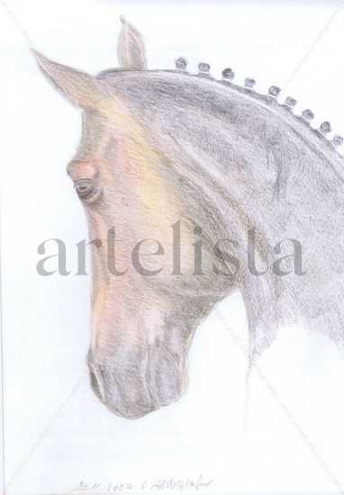 Dressage horse portrait from the side Lápiz