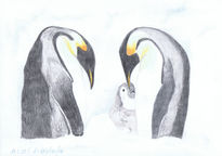 Penguin family