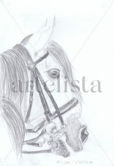 Andalusian stallion with magnificient bridle Pencil