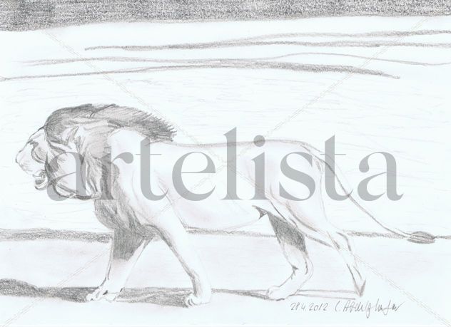 Lion walking