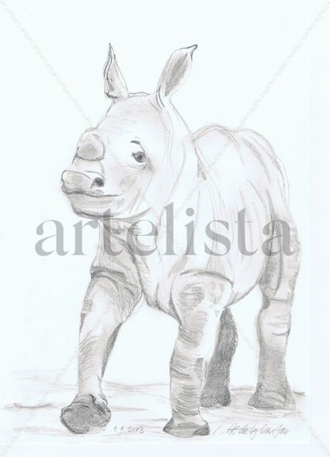 Rhino baby