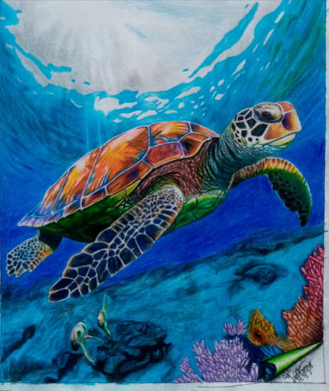 Dibujo realista a color ✏️🐢 Lápiz (a color) Papel Animales