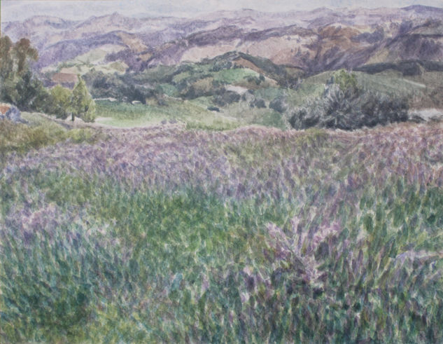 Generosa Cajamarca I Watercolour Card Landscaping