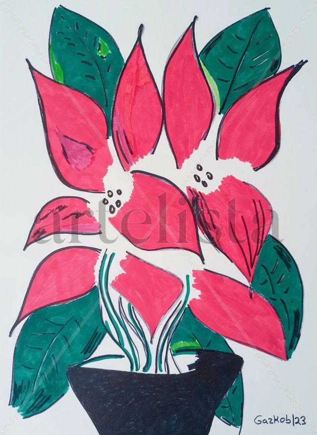 Flor de pascua/ Poinsettia