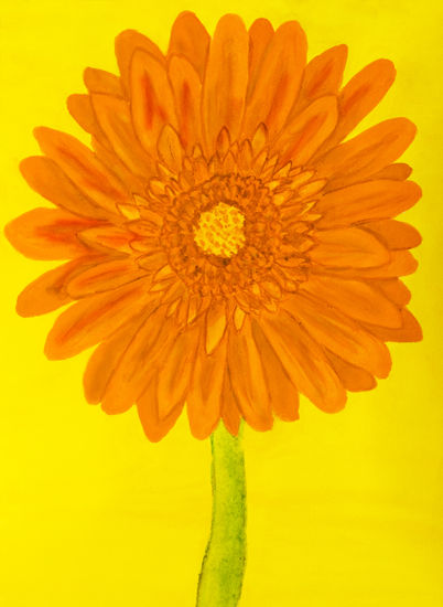 Orange gerbera on yellow Acuarela Papel Floral