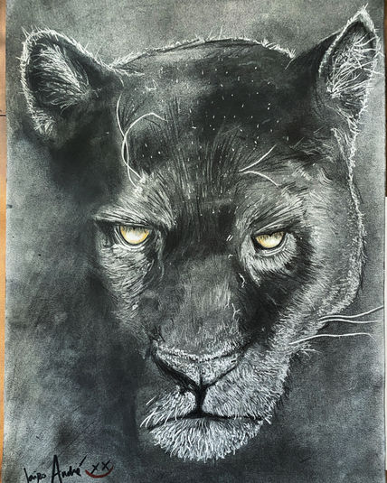 Wild Panther