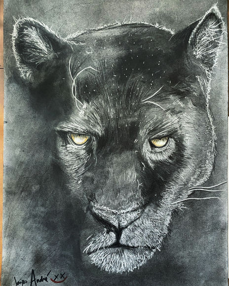 Wild Panther