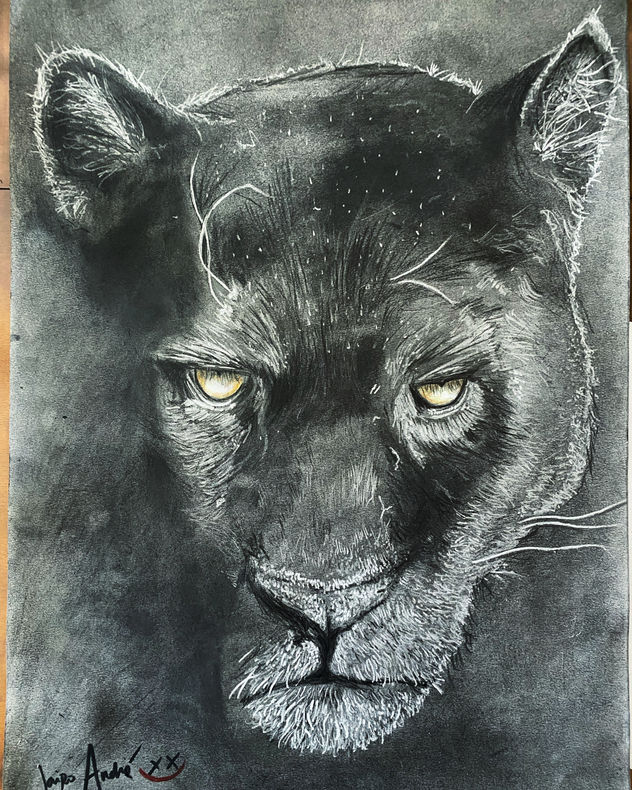 Wild Panther