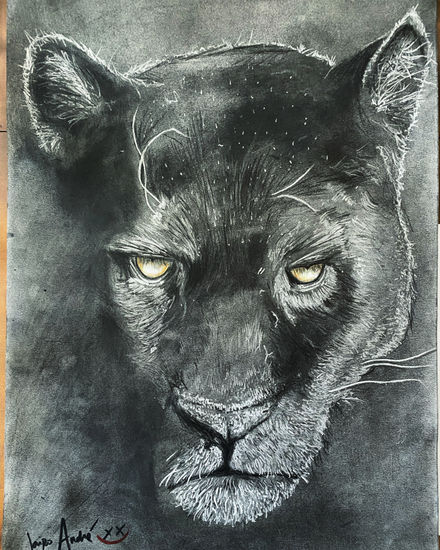 Wild Panther Charcoal