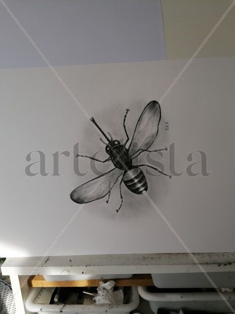 Mosca