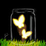 La noche de las mariposas