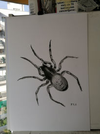 Araña