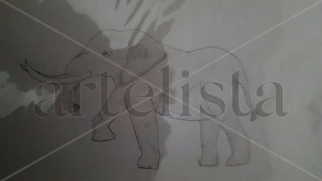 Elefante Macho