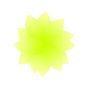 Sun flowers arts design