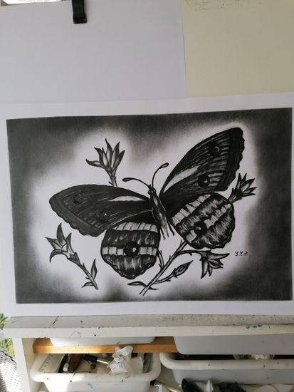 Mariposa Óleo Papel Paisaje