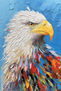 Eagle 1255