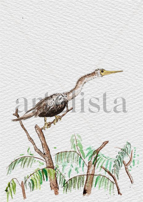 Aninga
