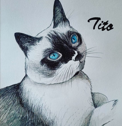 Tito