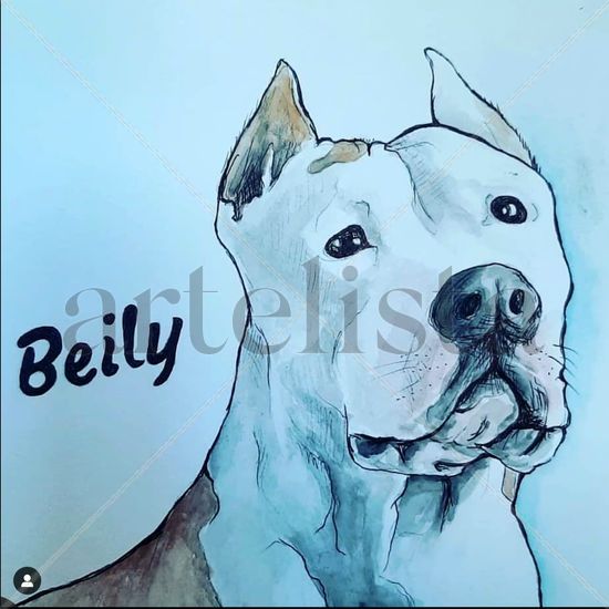 Beily Mixed Media