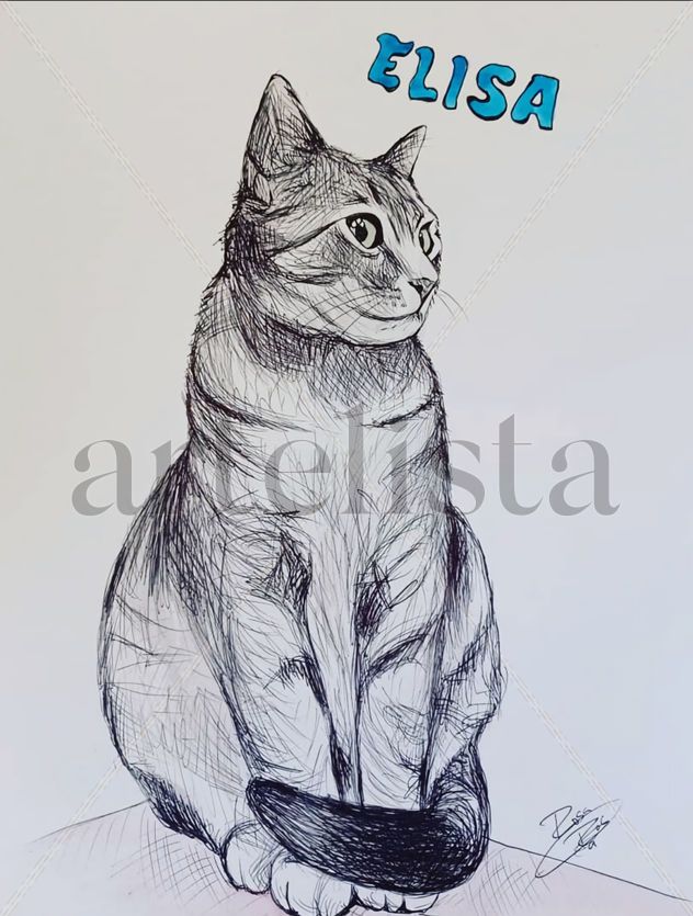 Elisa