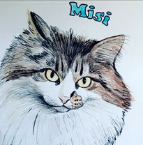 Misi