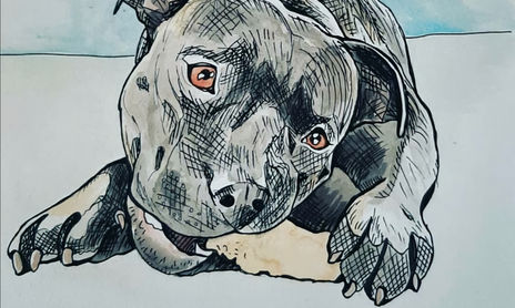 Dibujos de animales