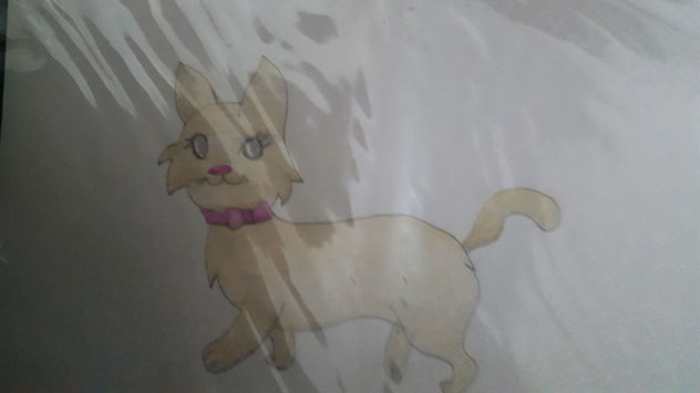 Gato Fino