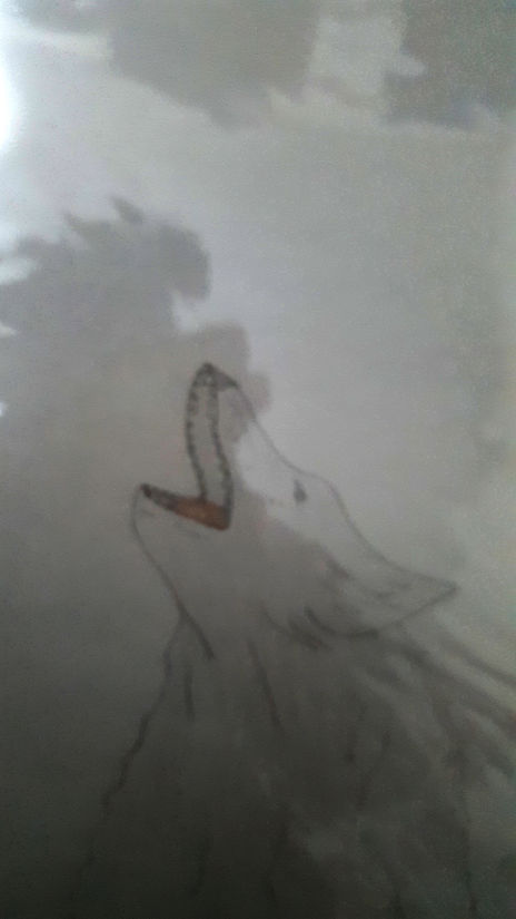 Lobo Aullando