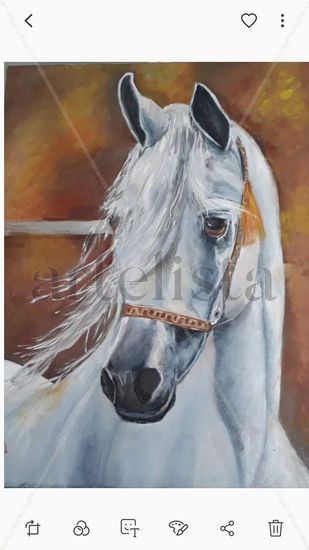 El caballo blanco Oil Canvas Animals