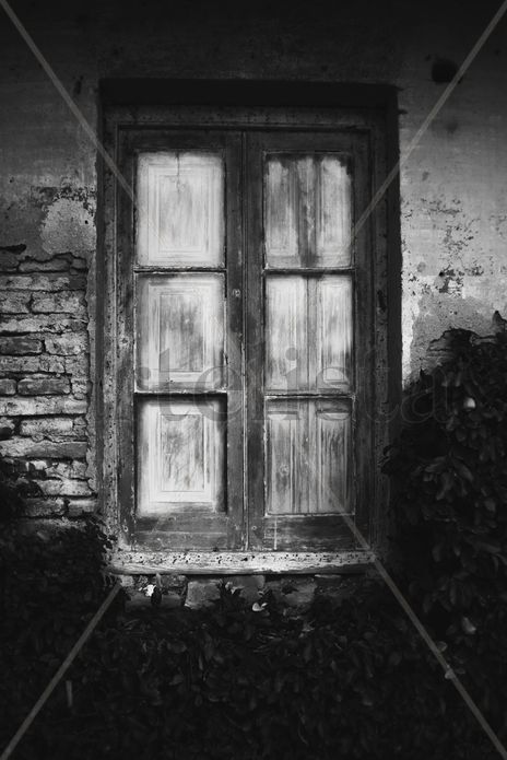 Ventana 2