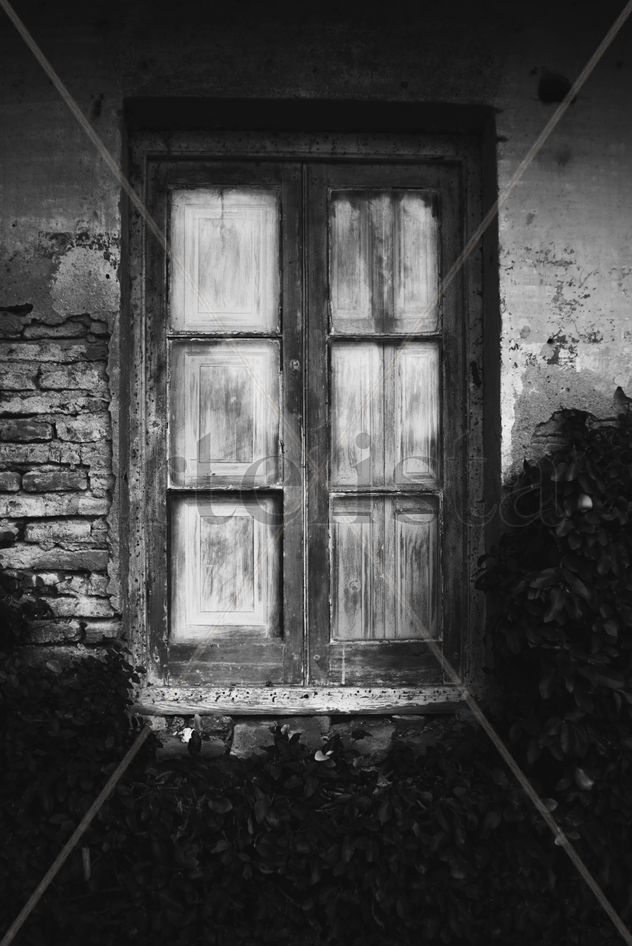 ventana 2