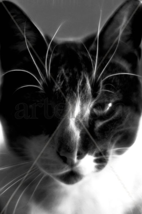 Pintura digital de...