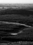 Foto cerros en blanco y negro con bosque de fondo