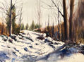 nevada en el bosque 2