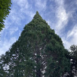 Bariloche thumbnail 1