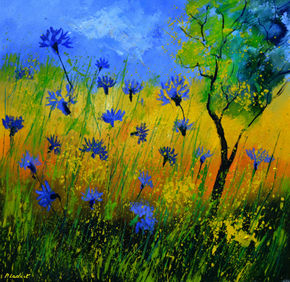 Cornflowers in summer