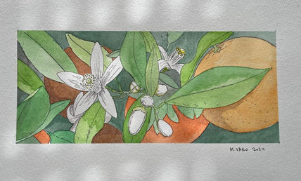 Naranjo en flor