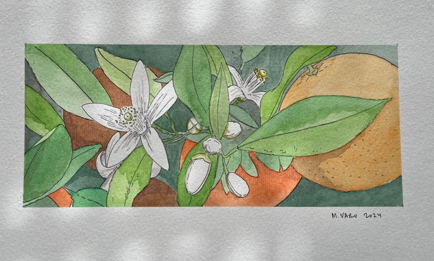 Naranjo en flor Watercolour Paper Floral Painting