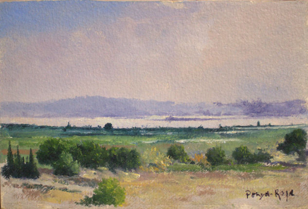 Las salinas de Torrevieja Oil Panel Marine Painting