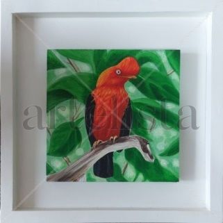 Gallito de las Rocas