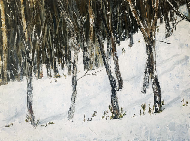 Invierno en cordillera Acrylic Canvas Landscaping