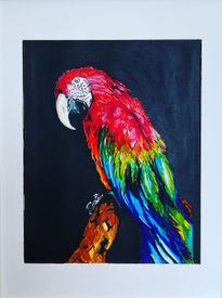 Guacamayo Rojo