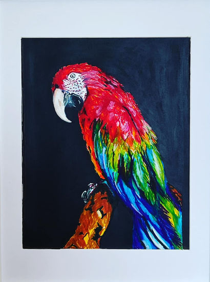 Guacamayo Rojo Rotulador Papel Animales