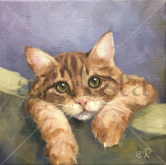 Gato Cat Animal painting Óleo Lienzo Animales