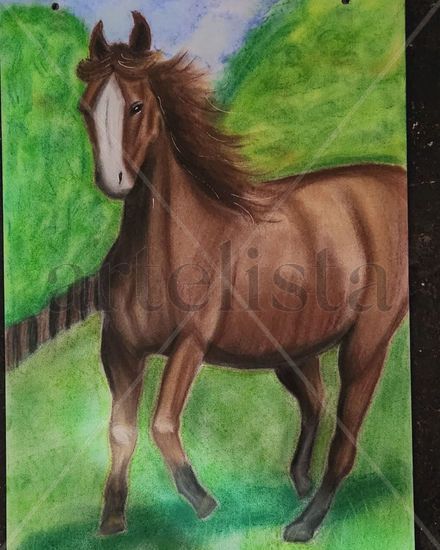 Caballo Charcoal