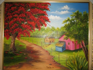 Flamboyán Oil Canvas Landscaping